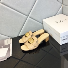 Christian Dior Slippers